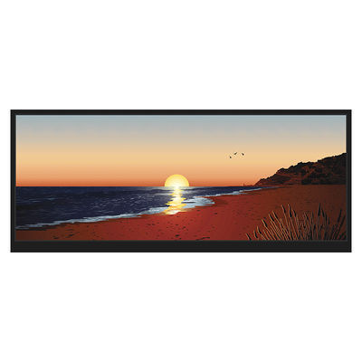 Màn hình LCD HDMI có thể đọc được bằng ánh sáng mặt trời 12,3 inch 1920x720 LCM-TFT123T61FHHDVNSDC